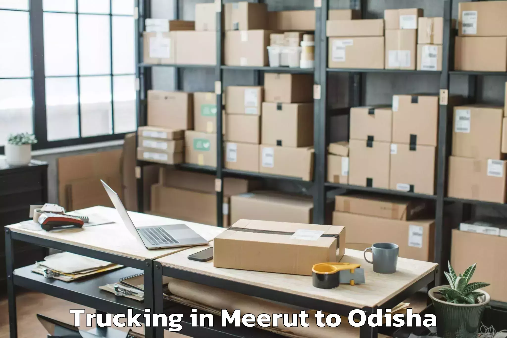 Book Meerut to Athmallik Trucking